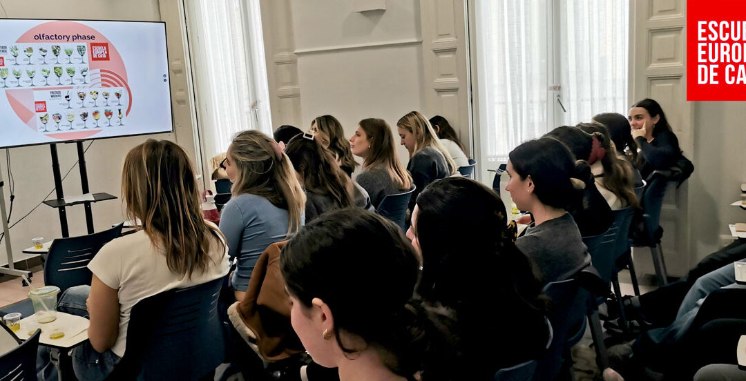 Divulgando cultura de los Aceites de Oliva