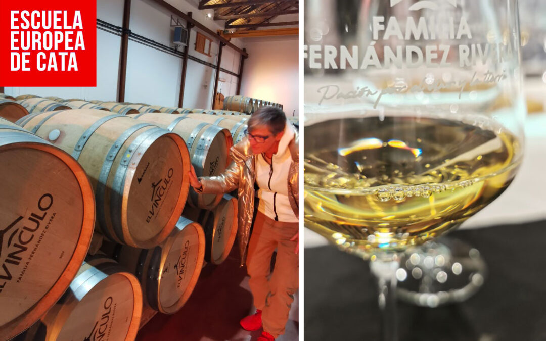 enoturismo-bodega-el-vinculo