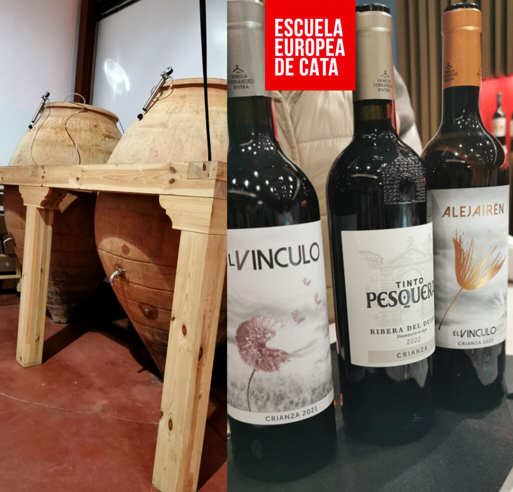 enoturismo-bodega-el-vinculo