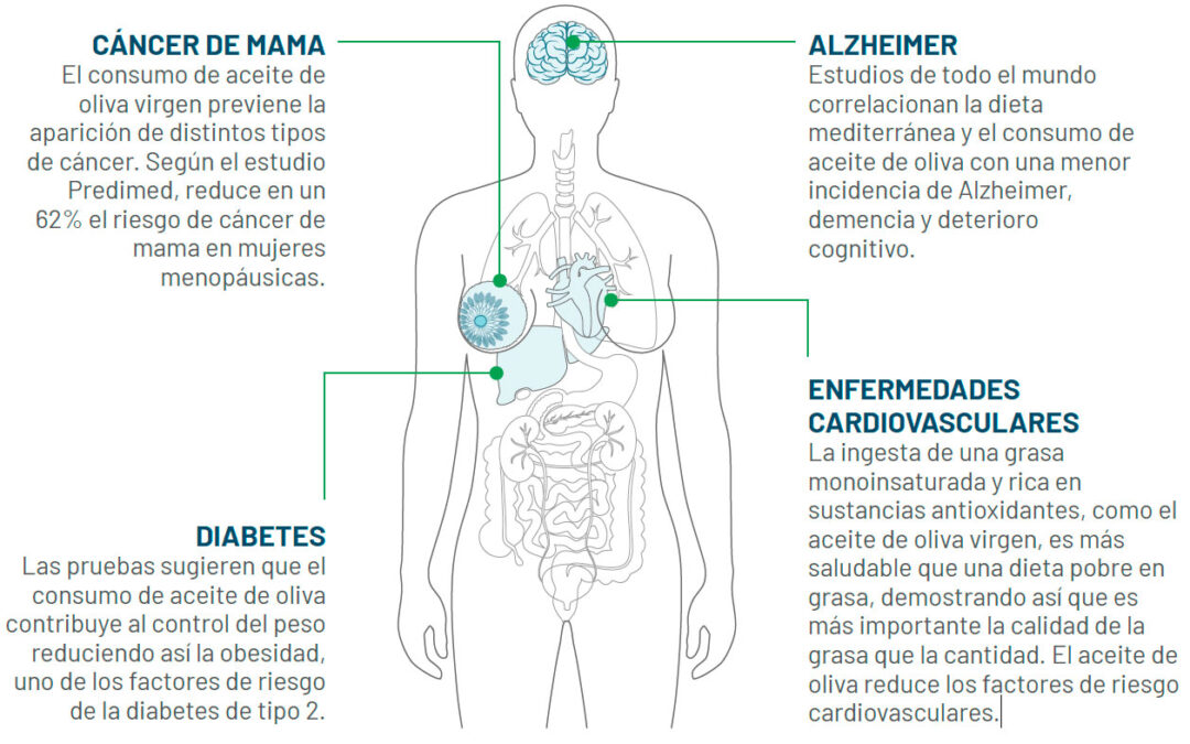 Contribuir a la salud humana con el Aceite de Oliva Virgen Extra