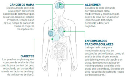 Contribuir a la salud humana con el Aceite de Oliva Virgen Extra
