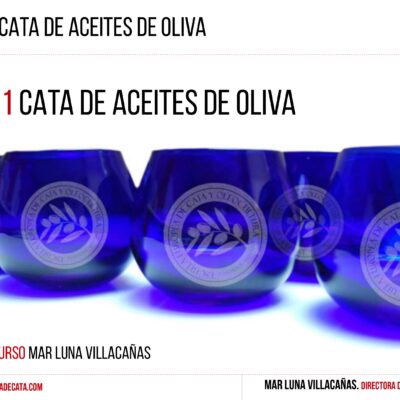 Nivel 1 Cata de Aceites de Oliva ONLINE en DIRECTO