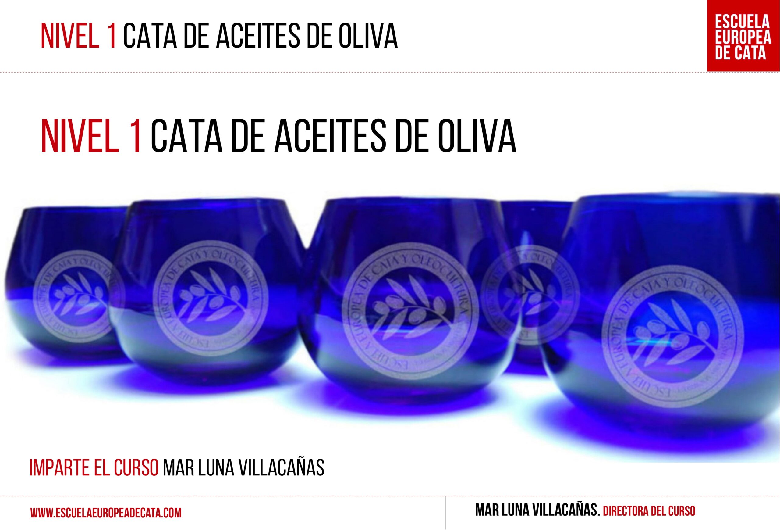 CURSO NIVEL 1 CATA DE ACEITES DE OLIVA