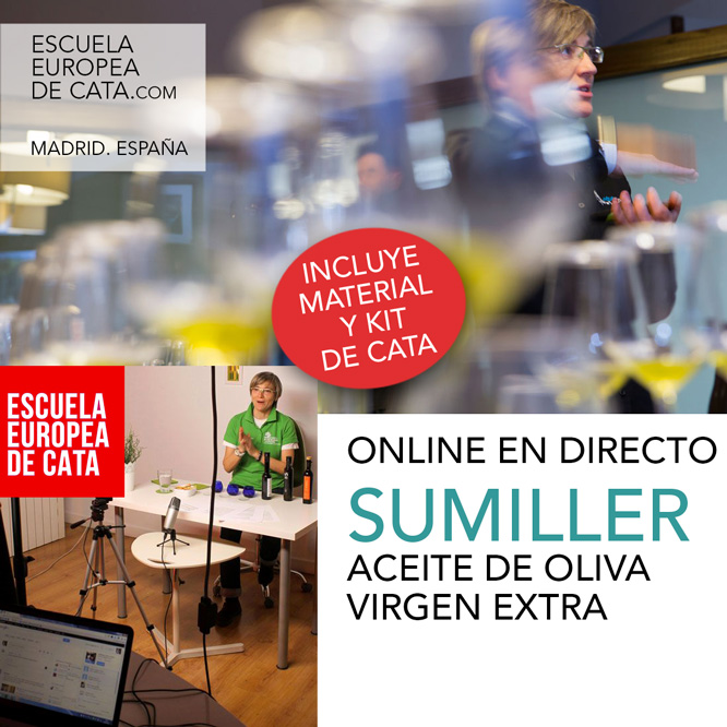 curso-online-sumiller-aove_2026