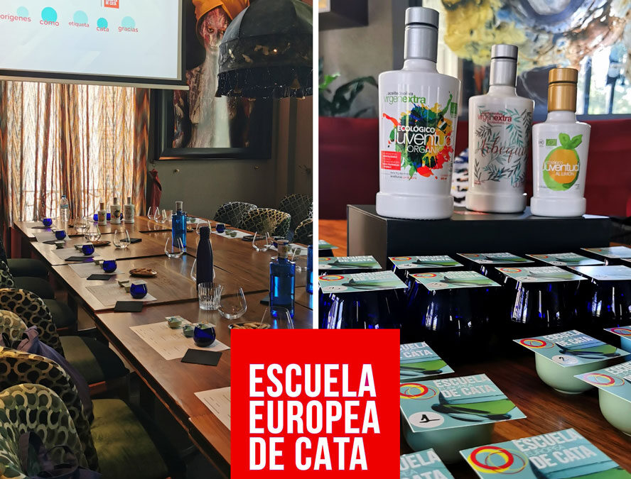evento-de-empresa-cata-de-aceites-de-oliva-mayo-2026_1