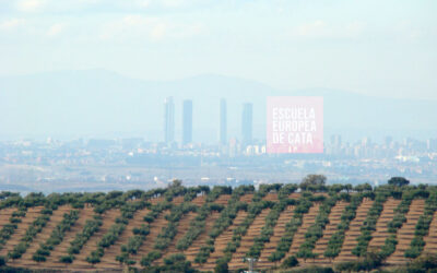Madrid y sus Aceites de Oliva Virgen Extra